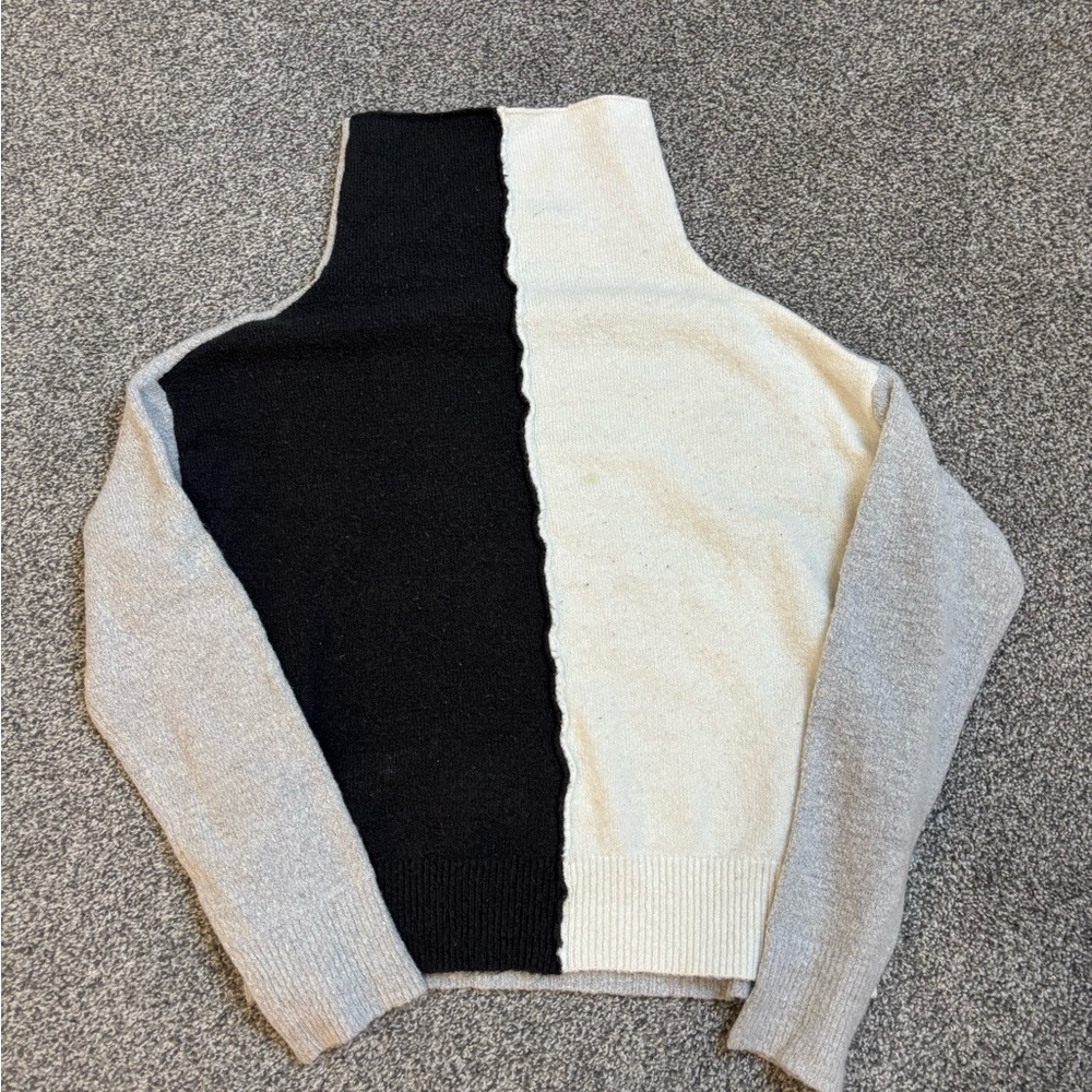 Moral Fiber Black and Cream Turtleneck Sweater